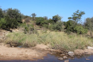 Bume Nehri / Bume Nehri 