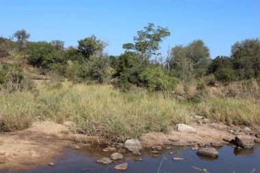 Bume Nehri / Bume Nehri 