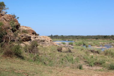 Timsah Nehri / Timsah Nehri 