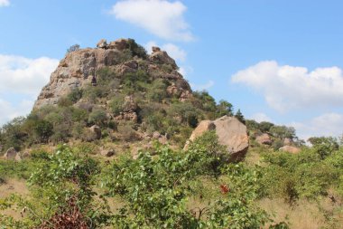 Krueger Park - Afrikanischer Busch - Inselberg / Kruger Park - Afrika çalı - Koppie /