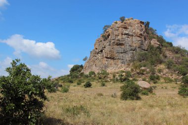 Krueger Park - Afrikanischer Busch - Inselberg / Kruger Park - Afrika çalı - Koppie /