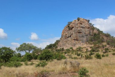 Krueger Park - Afrikanischer Busch - Inselberg / Kruger Park - Afrika çalı - Koppie /