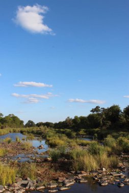 Makhadzi Nehri / Makhadzi Nehri / 