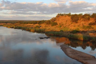 Letaba Nehri / Letaba Nehri / 