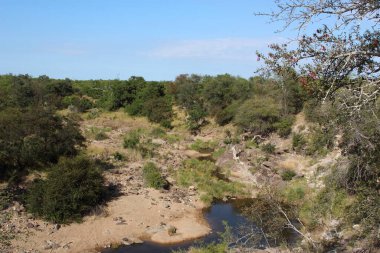 Nhlanganinii River / Nhlanganinii River / 