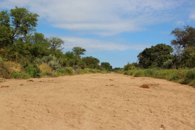 Nhlanganinii River / Nhlanganinii River / 