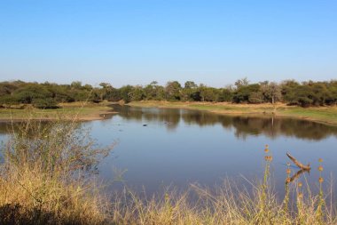 N 'watimhiri Nehri / N' watimhiri Nehri /