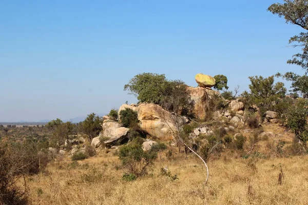 Krueger Park Afrikanischer Busch Inselberg Kruger Park African Bush Koppie — Foto Stock