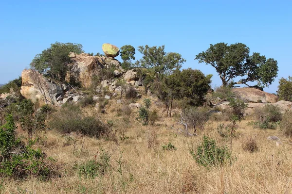 Krueger Park Afrikanischer Busch Inselberg Kruger Park African Bush Koppie — Photo