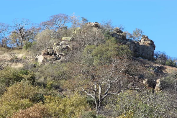 Kruegerpark Shibavantsengele Lookout Kruger Park Shibavantsengele Lookout — Foto Stock