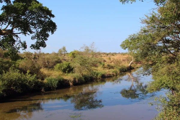 Ποταμός Ntandanyathi Ποταμός Ntandanyathi — Φωτογραφία Αρχείου