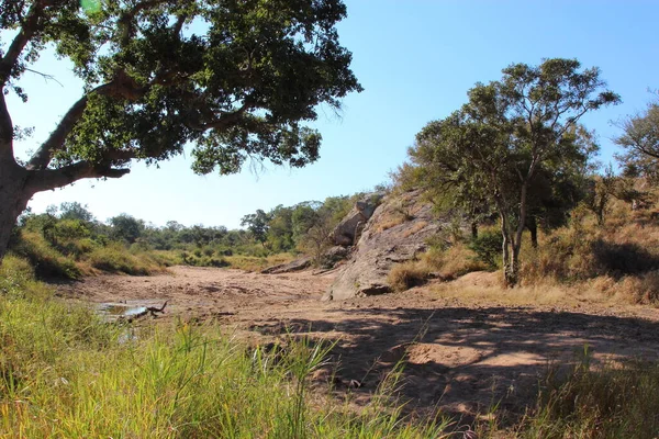 Watindlopfu River Watindlopfu River — Stockfoto