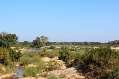 Sabie Nehri / Sabie Nehri / 
