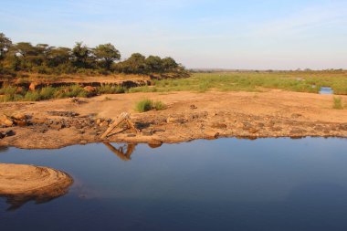 Sabie Nehri / Sabie Nehri / 