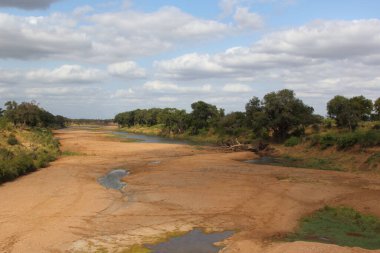 Shingwedzi River / Shingwedzi River / 