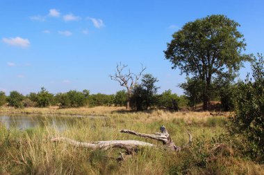 Shipukuyila Pan / Shipukuyila Pan / 