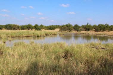 Shipukuyila Pan / Shipukuyila Pan / 