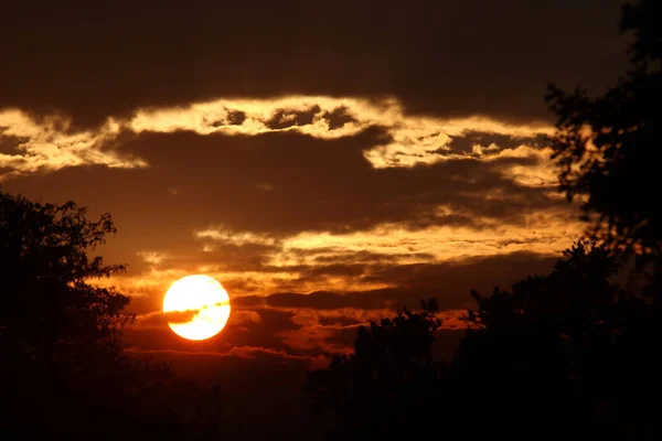 Sonnenaufgang - Krueger Park Suedafrika / Gündoğumu - Kruger Park Güney Afrika / 