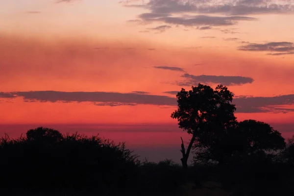 Sonnenaufgang Krueger Park Suedafrika Sunrise Kruger Park South Africa — 스톡 사진