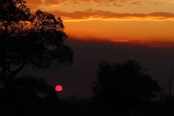 Sonnenaufgang Krueger Park Suedafrika Sunrise Kruger Park Sydafrika — Stockfoto