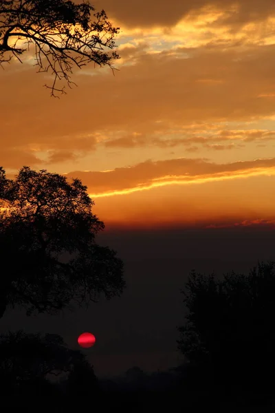 Sonnenaufgang Krueger Park Südafrika Sunrise Kruger Park Südafrika — Stockfoto