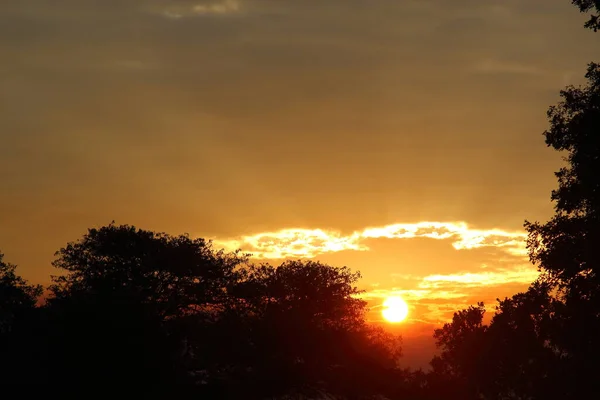 Sonnenaufgang Krueger Park Suedafrika Sunrise Kruger Park Sydafrika — Stockfoto