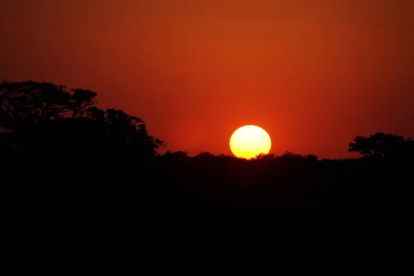 Sonnenuntergang Krueger Park Sdafrika Sundown Kruger Park Zuid Afrika — Stockfoto