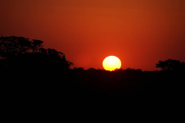 Sonnenuntergang - Krueger Park Sdafrika / Sundown - Kruger Park South Africa /