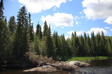 Chapleau - Göller Zinciri - 18-Mile-Rapids / Chapleau - Göller Zinciri - 18-Mile-Rapids /