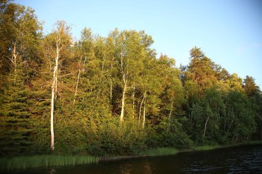 Chapleau - Göller Zinciri / Chapleau Göller Zinciri