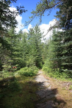 Chapleau - Weg vom D 'Arcy Gölü zum Robinson Gölü / Chapleau - D' Arcy Gölü 'nden Robinson Gölü /