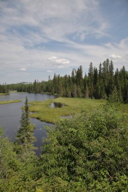 Chapleau Crown Game Preserve / Chapleau Crown Game Preserve /