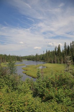 Chapleau Crown Game Preserve / Chapleau Crown Game Preserve /