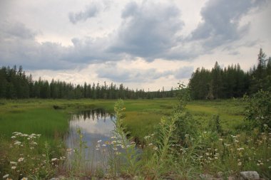 Chapleau Crown Game Preserve / Chapleau Crown Game Preserve /