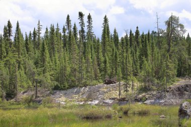 Chapleau Crown Game Preserve / Chapleau Crown Game Preserve /