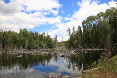 Chapleau Crown Game Preserve / Chapleau Crown Game Preserve /