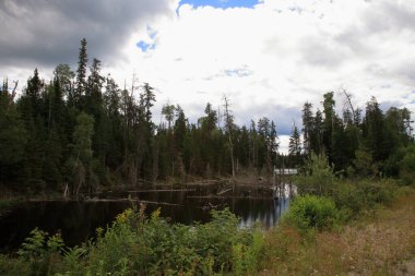 Chapleau Crown Game Preserve / Chapleau Crown Game Preserve /