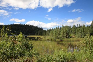 Chapleau Crown Game Preserve / Chapleau Crown Game Preserve /