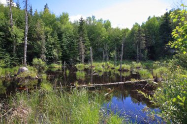 Chapleau Crown Game Preserve / Chapleau Crown Game Preserve /
