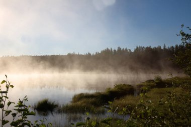 Chapleau Crown Game Preserve / Chapleau Crown Game Preserve /
