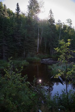 Chapleau Crown Game Preserve / Chapleau Crown Game Preserve /