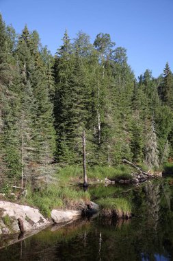 Chapleau Crown Game Preserve / Chapleau Crown Game Preserve /