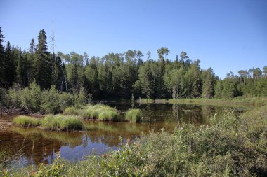 Chapleau Crown Game Preserve / Chapleau Crown Game Preserve /