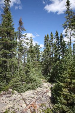 Chapleau Crown Game Preserve / Chapleau Crown Game Preserve /