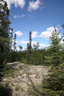 Chapleau Crown Game Preserve / Chapleau Crown Game Preserve /