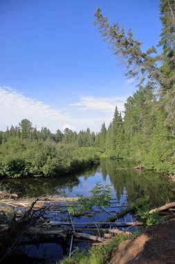Kanada - Algonquin İl Parkı / Kanada - Algonquin İl Parkı