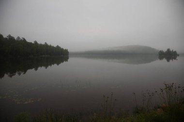 Kanada - Algonquin İl Parkı / Kanada - Algonquin İl Parkı /