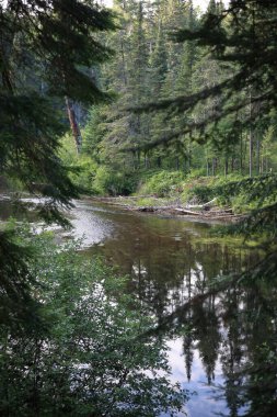 Kanada - Algonquin İl Parkı / Kanada - Algonquin İl Parkı /