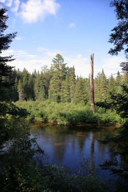 Kanada - Algonquin İl Parkı / Kanada - Algonquin İl Parkı /