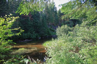 Kanada - Algonquin İl Parkı / Kanada - Algonquin İl Parkı /
